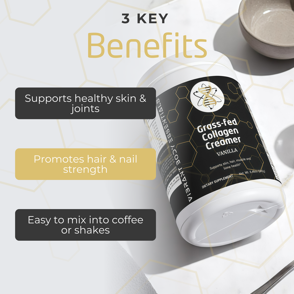 Grass-Fed Collagen Creamer – Vanilla | Type 1 & 3 Collagen with MCT Oil for Skin, Hair & Joint Support | 240g