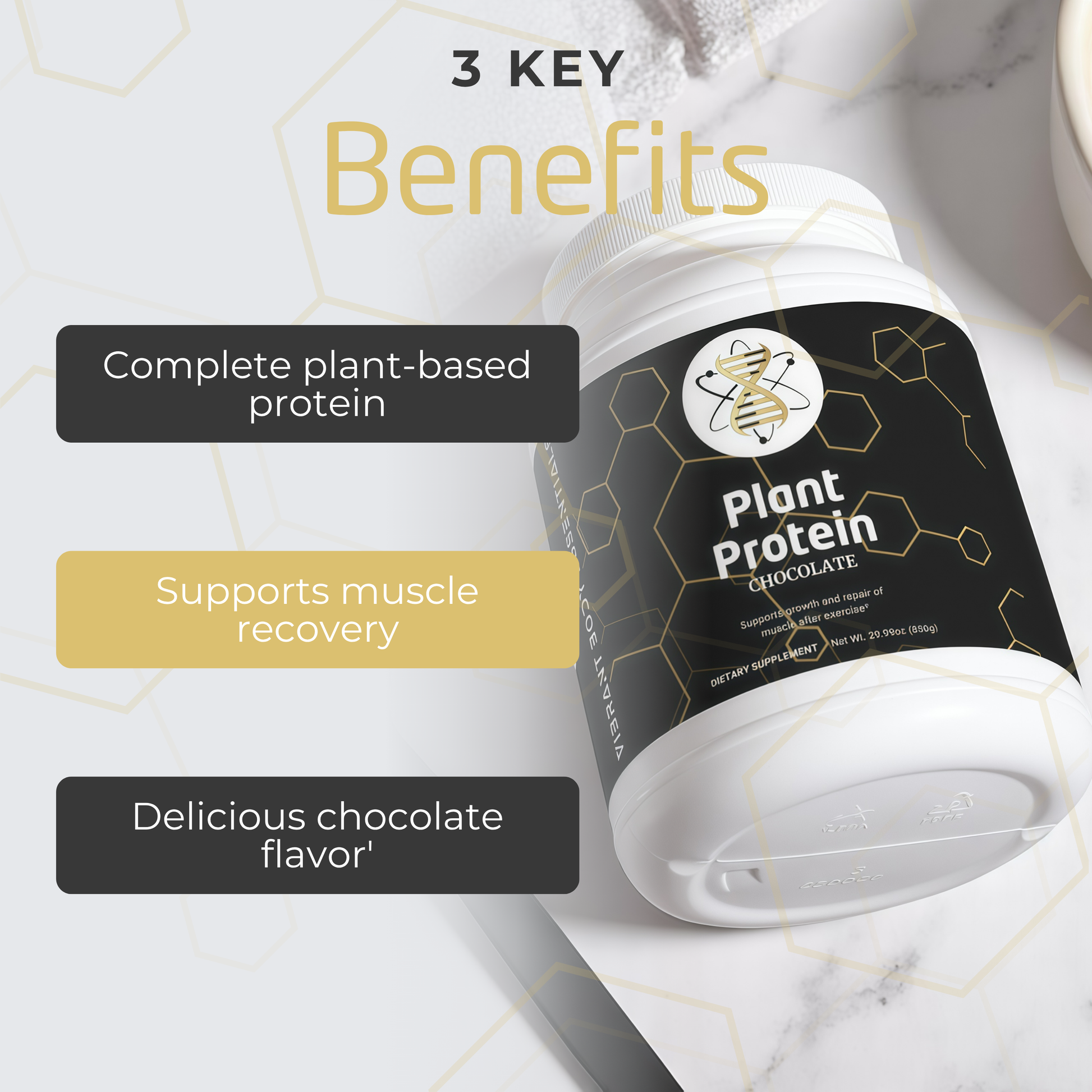 Plant Protein – Chocolate | 21g Vegan Protein with MCT Oil, Cocoa & Gut Support | Dairy-Free, Soy-Free | 850g