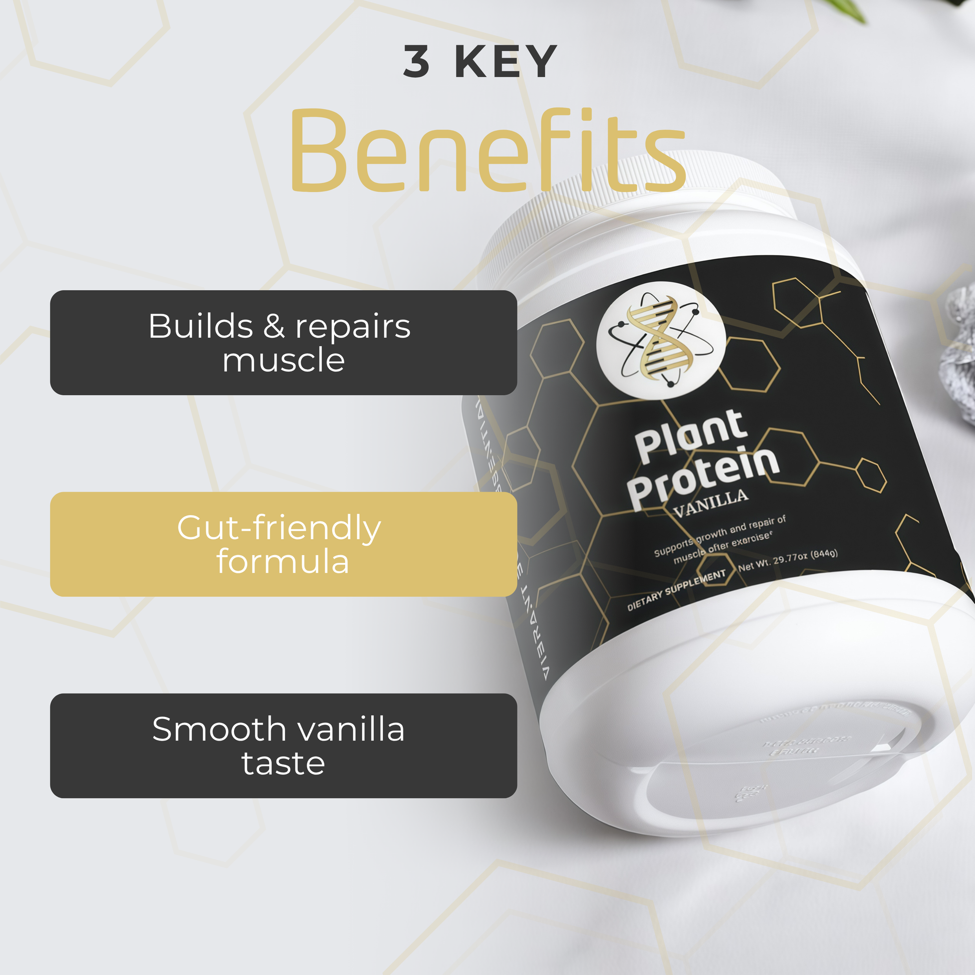 Plant Protein – Vanilla | 20g Vegan Protein with MCT Oil & Gut Support | Dairy-Free, Soy-Free | 844g